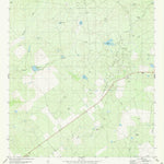 United States Geological Survey Escobas, TX (1980, 24000-Scale) digital map