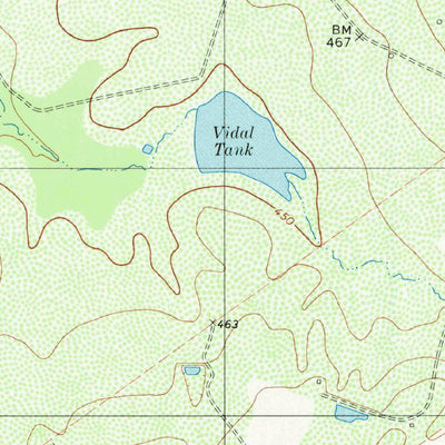 United States Geological Survey Escobas, TX (1980, 24000-Scale) digital map