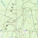 United States Geological Survey Escobas, TX (1980, 24000-Scale) digital map