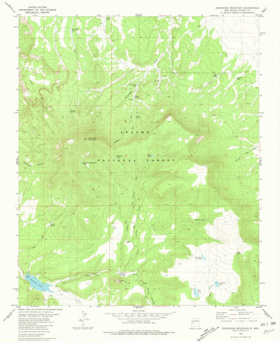United States Geological Survey Escondido Mountain, NM (1981, 24000-Scale) digital map
