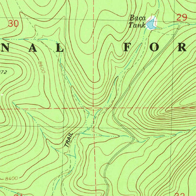 United States Geological Survey Escondido Mountain, NM (1981, 24000-Scale) digital map
