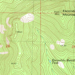 United States Geological Survey Escondido Mountain, NM (1981, 24000-Scale) digital map
