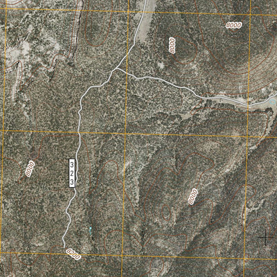 United States Geological Survey Escondido Mountain, NM (2011, 24000-Scale) digital map