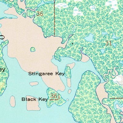 United States Geological Survey Estero, FL (1958, 24000-Scale) digital map