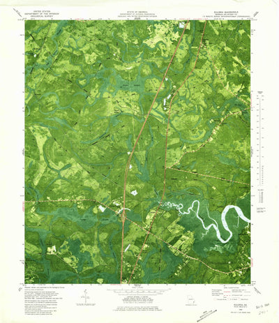 United States Geological Survey Eulonia, GA (1980, 24000-Scale) digital map