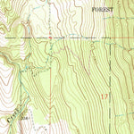 United States Geological Survey Eureka North, MT (1963, 24000-Scale) digital map