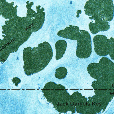 United States Geological Survey Everglades City, FL (1974, 24000-Scale) digital map