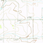 United States Geological Survey Ewing, NM (1986, 24000-Scale) digital map