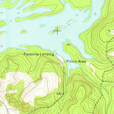 United States Geological Survey Faceville, GA (1974, 24000-Scale) digital map