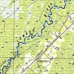 United States Geological Survey Fair Bluff, NC-SC (1943, 62500-Scale) digital map