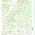 United States Geological Survey Fair Play, TX (1983, 24000-Scale) digital map