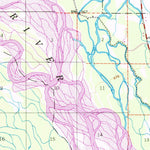 United States Geological Survey Fairbanks C-1, AK (1950, 63360-Scale) digital map