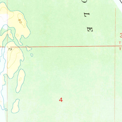 United States Geological Survey Fairchild, GA-FL (1955, 24000-Scale) digital map