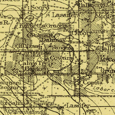 United States Geological Survey Falfurrias, TX (1921, 125000-Scale) digital map