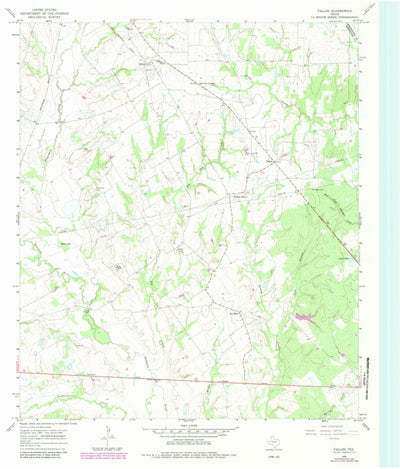 United States Geological Survey Fallon, TX (1966, 24000-Scale) digital map