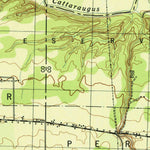 United States Geological Survey Farnham, NY (1944, 31680-Scale) digital map