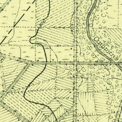 United States Geological Survey Fayetteville, TX (1919, 62500-Scale) digital map