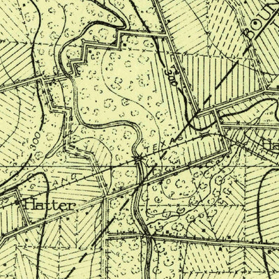 United States Geological Survey Fayetteville, TX (1919, 62500-Scale) digital map