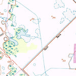 United States Geological Survey Fellsmere, FL (1949, 24000-Scale) digital map