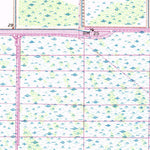 United States Geological Survey Fellsmere NW, FL (1953, 24000-Scale) digital map