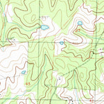 United States Geological Survey Felps, LA-MS (1984, 24000-Scale) digital map