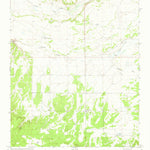 United States Geological Survey Fence Lake, NM (1972, 24000-Scale) digital map