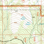 United States Geological Survey Ferguson Mountain, OR (2004, 24000-Scale) digital map