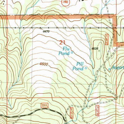 United States Geological Survey Ferguson Mountain, OR (2004, 24000-Scale) digital map