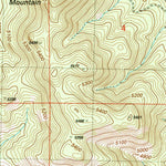 United States Geological Survey Ferguson Mountain, OR (2004, 24000-Scale) digital map