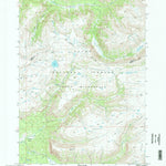 United States Geological Survey Ferry Lake, WY (1996, 24000-Scale) digital map