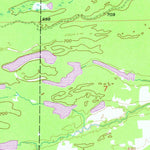 United States Geological Survey Fibre, MI (1953, 24000-Scale) digital map