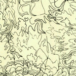 United States Geological Survey Fiddler Butte, UT (1953, 24000-Scale) digital map