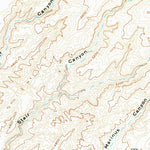 United States Geological Survey Fiddler Butte, UT (1953, 62500-Scale) digital map