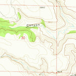 United States Geological Survey Fiddler Springs, NM (1972, 24000-Scale) digital map