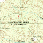 United States Geological Survey Fidelis, FL-AL (1978, 24000-Scale) digital map
