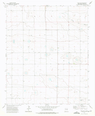 United States Geological Survey Field SE, NM (1973, 24000-Scale) digital map