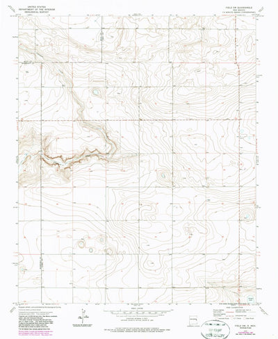 United States Geological Survey Field SW, NM (1973, 24000-Scale) digital map