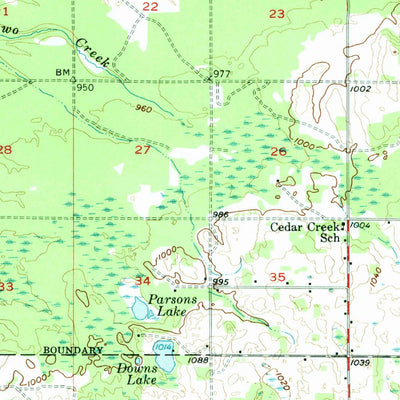 United States Geological Survey Fife Lake, MI (1956, 62500-Scale) digital map