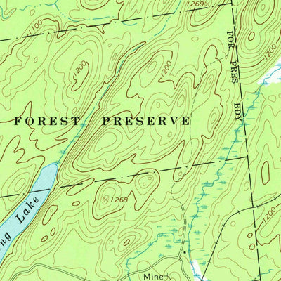 United States Geological Survey Fine, NY (1966, 24000-Scale) digital map