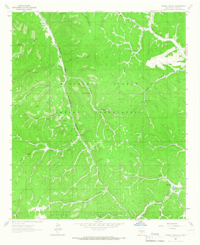 United States Geological Survey Firman Canyon, NM (1963, 24000-Scale) digital map