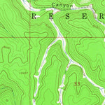 United States Geological Survey Firman Canyon, NM (1963, 24000-Scale) digital map