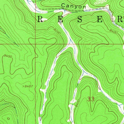 United States Geological Survey Firman Canyon, NM (1963, 24000-Scale) digital map