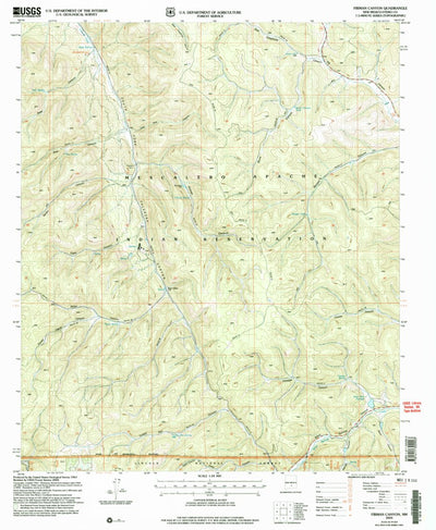 United States Geological Survey Firman Canyon, NM (2004, 24000-Scale) digital map