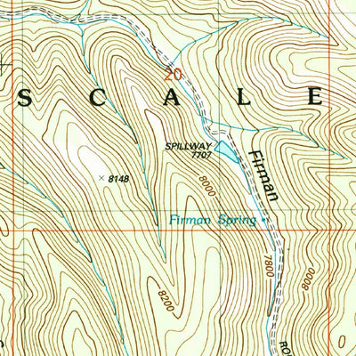 United States Geological Survey Firman Canyon, NM (2004, 24000-Scale) digital map