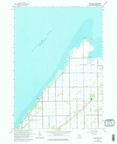United States Geological Survey Fish Point, MI (1963, 24000-Scale) digital map