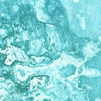 United States Geological Survey Fisheating Bay, FL (1971, 24000-Scale) digital map