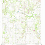 United States Geological Survey Fisk, TX (1964, 24000-Scale) digital map