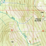 United States Geological Survey Fitsum Summit, ID (2004, 24000-Scale) digital map