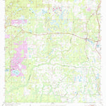 United States Geological Survey Fivay Junction, FL (1954, 24000-Scale) digital map