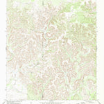United States Geological Survey Flat Rock Creek NW, TX (1978, 24000-Scale) digital map